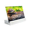 Plaque funéraire plaque-funeraire-tortue 20 Plaquedeces.fr